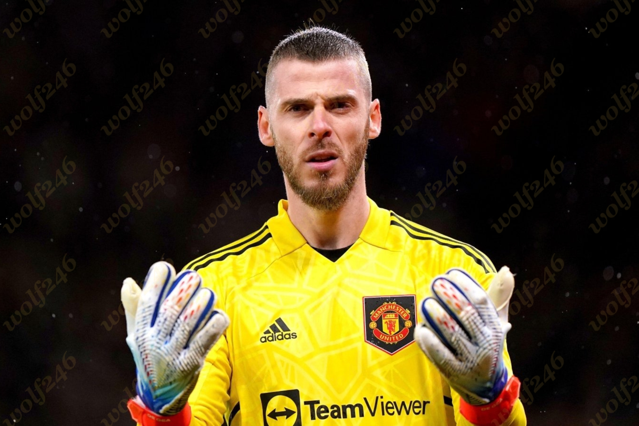 អ្នកចាំទី David de Gea ត្រូវ​បាន​ក្លឹប​មួយនេះទាក់ទងចង់បាន តែ​គេបាន​បដិសេធ
