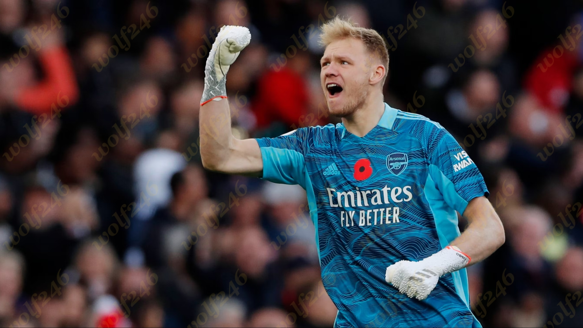 Arsenal កំណត់តម្លៃខ្លួនប្រមាណ ៦០លានផោន សម្រាប់ Ramsdale នៅទីផ្សារខាងមុខ