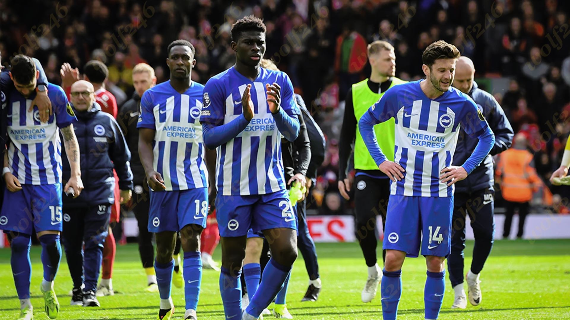 Brighton ប្រកាសពីប្រាក់ចំណេញខ្ពស់បំផុត សម្រាប់រដូវកាលដ៏ជោគជ័យក្នុងប្រវត្តិសាស្ត្ររបស់ក្លិប